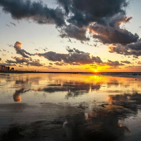 Amazing With Sea-views * Middelkerke